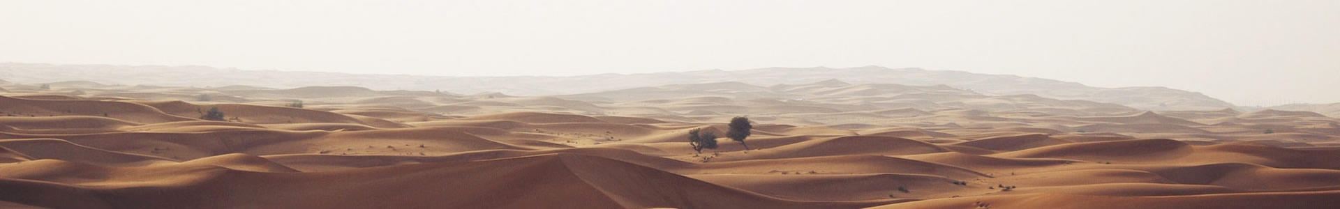 ݸк̼άƼ޹˾